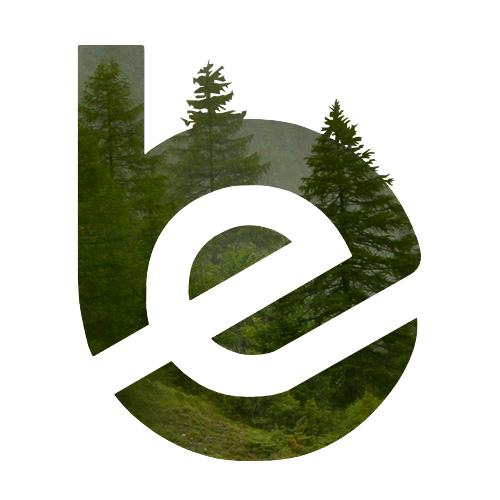 logo-enrico-bondi-wood24